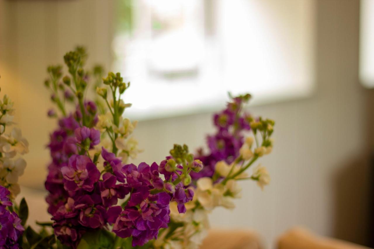 The Potting Shed, 5* Luxury Escape سيرنسيستر المظهر الخارجي الصورة